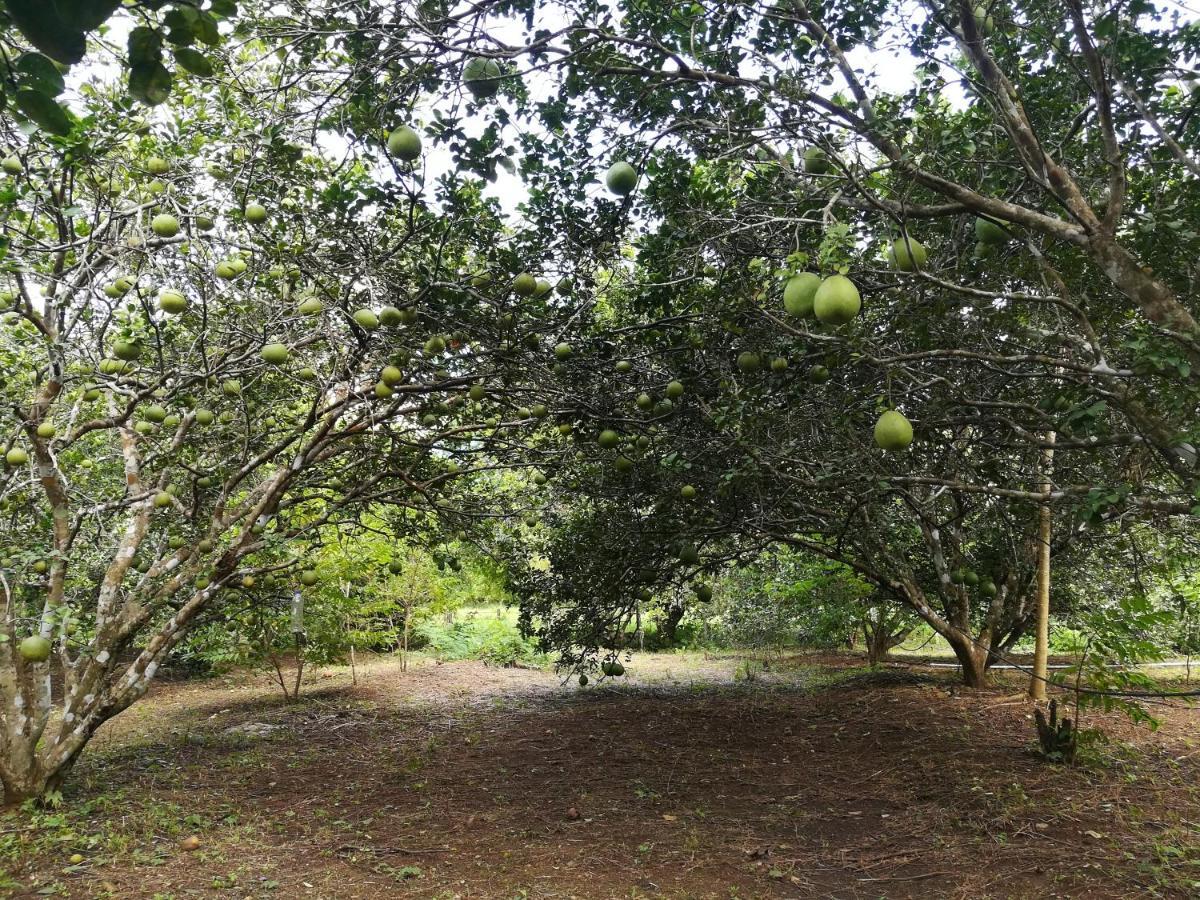 Star View Garden Villa Ban Huai Maenam Noi Exterior photo